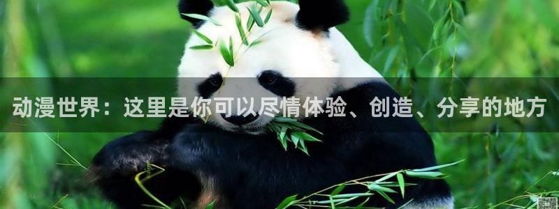 78动漫13：动漫世界：这里是你可以尽情体验、创造、分享的地方