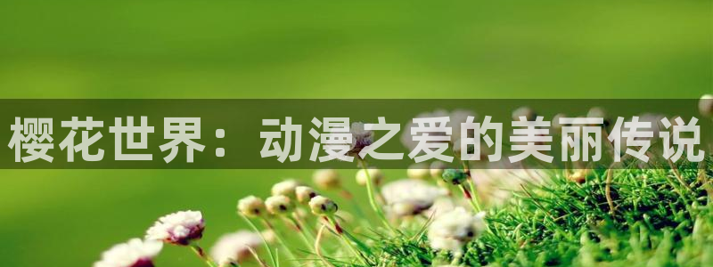 78动漫网站维护