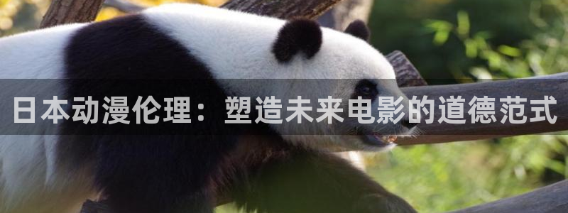 78动漫 十佳：日本动漫伦理：塑造未来电影的道德范式
